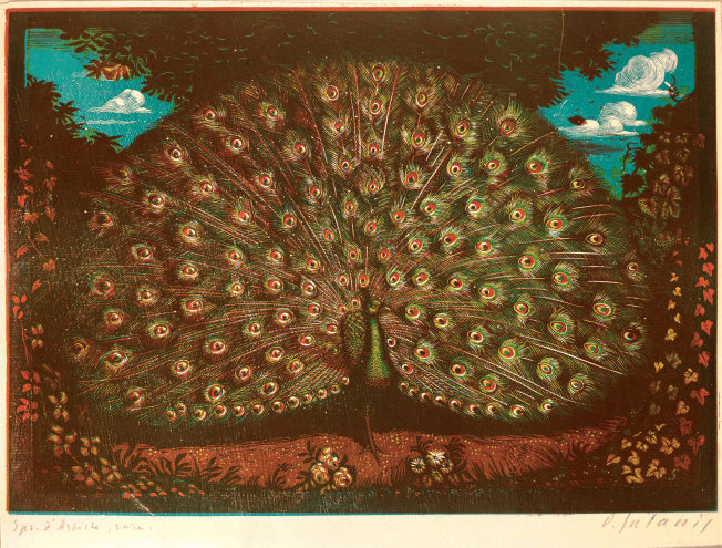 The peacock, 1936