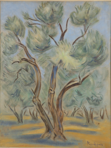 Olive trees, 1970