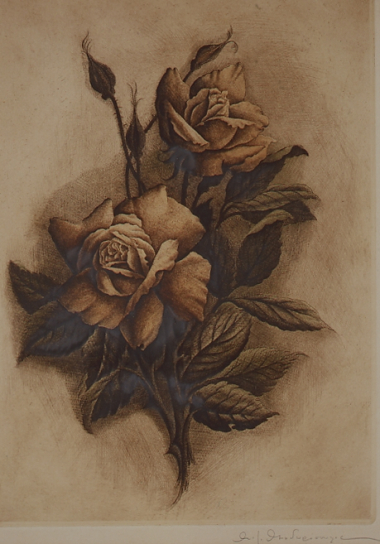 Roses, 1950