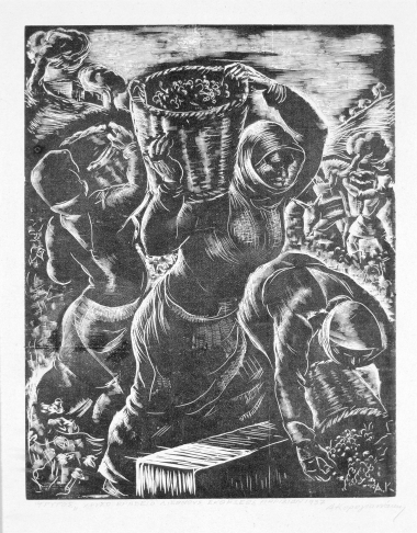 Grape Harvest, 1937